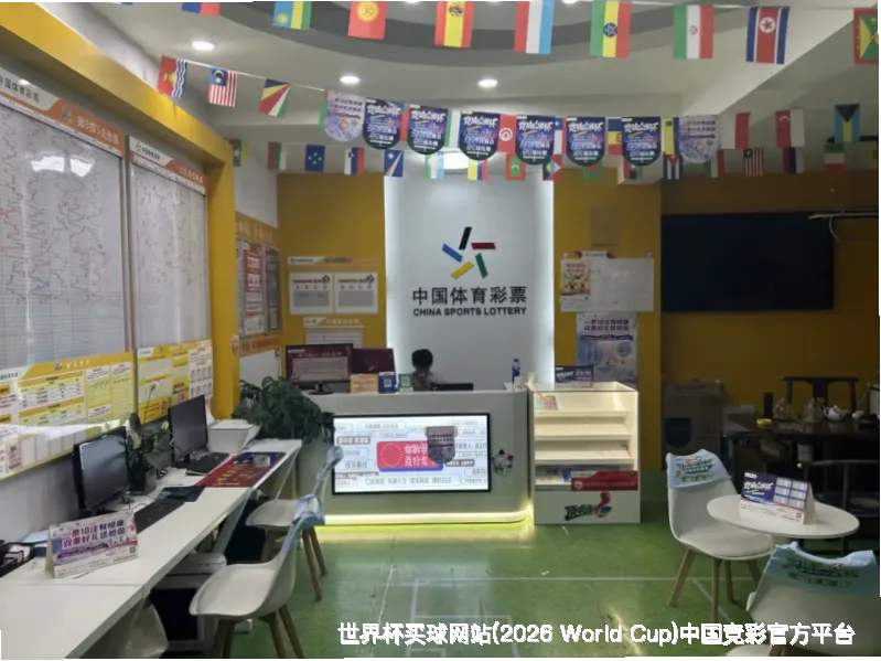 未来愿景与发展方向